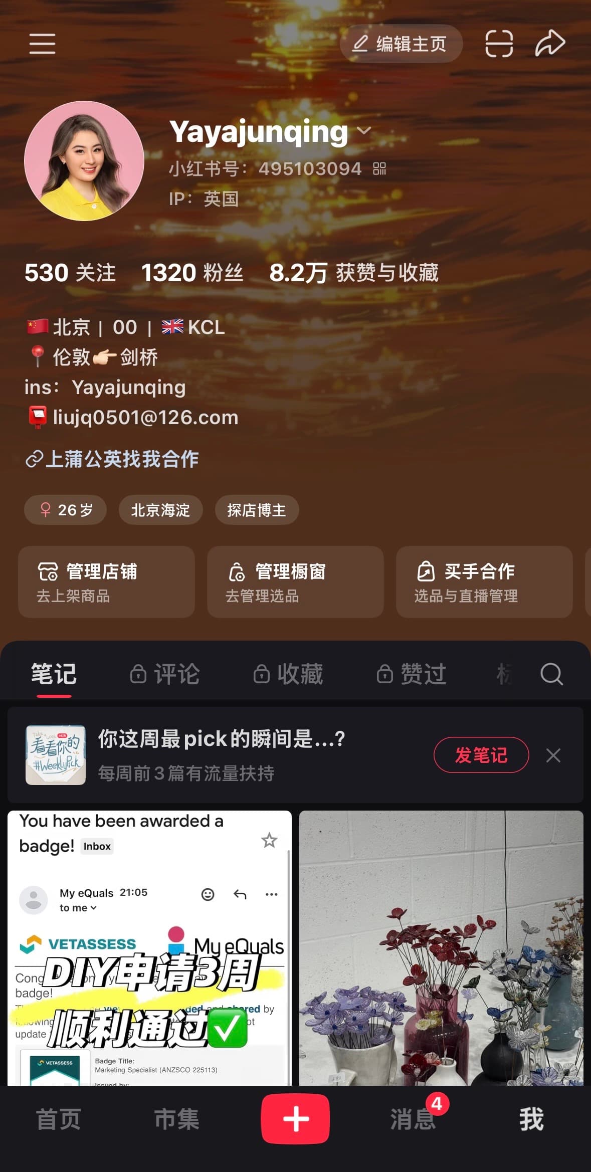 RedNote profile page for Yayajunqing showing follower count and accumulated likes and saves.
